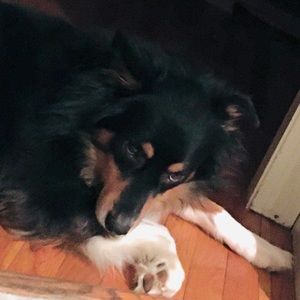 Meet your Posher, Francesca